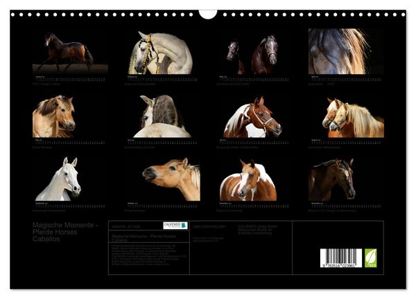 Produktbild: Magische Momente - Pferde Horses Caballos (Wandkalender 2026 DIN A3 quer), CALVENDO Monatskalender