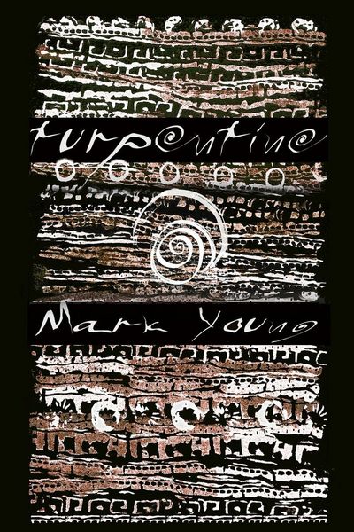 Produktbild: turpentine