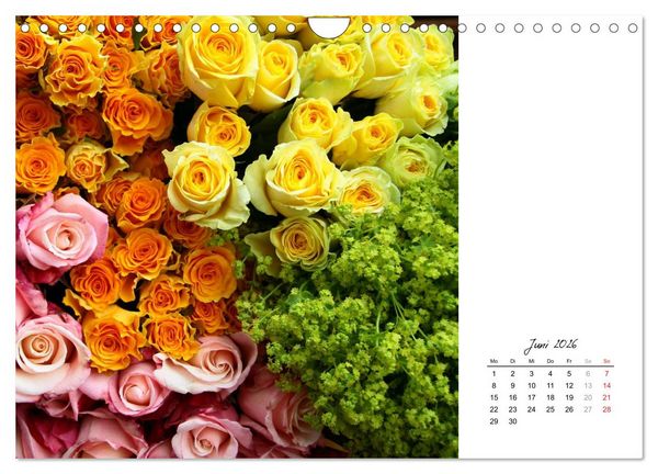 Produktbild: Die vielen Gesichter der Rosen (Wandkalender 2026 DIN A4 quer), CALVENDO Monatskalender
