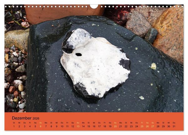 Produktbild: EIN STEIN SEIN (Wandkalender 2026 DIN A3 quer), CALVENDO Monatskalender