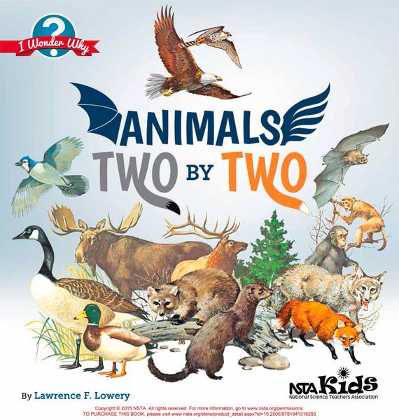 Produktbild: Animals Two by Two