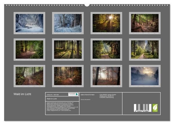 Produktbild: Wald im Licht (hochwertiger Premium Wandkalender 2026 DIN A2 quer), Kunstdruck in Hochglanz