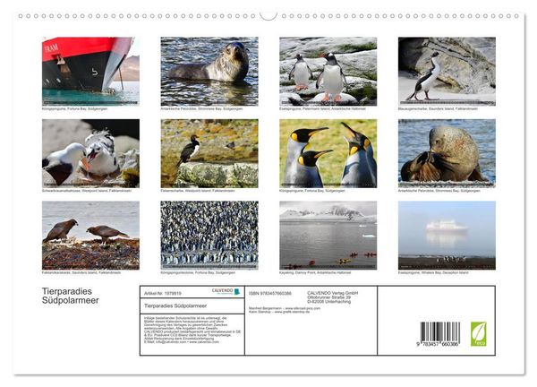 Produktbild: Tierparadies S&uuml;dpolarmeer (hochwertiger Premium Wandkalender 2026 DIN A2 quer), Kunstdruck in Hochglanz