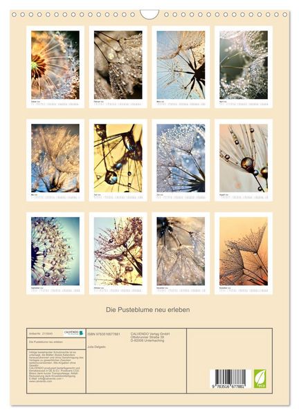 Produktbild: Die Pusteblume neu erleben (Wandkalender 2026 DIN A3 hoch), CALVENDO Monatskalender