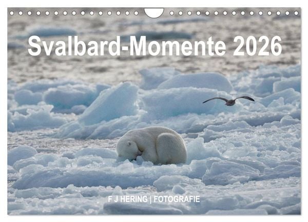 Produktbild: Svalbard-Momente (Wandkalender 2026 DIN A4 quer), CALVENDO Monatskalender