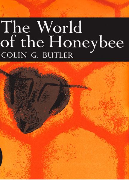 Produktbild: The World of the Honeybee
