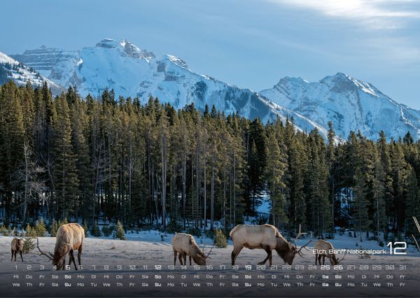 Produktbild: Kanada &ndash; Abenteuer Natur - 2027 - Kalender DIN A3
