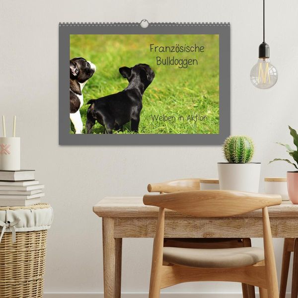 Produktbild: Franz&ouml;sische Bulldoggen (Wandkalender 2026 DIN A3 quer), CALVENDO Monatskalender