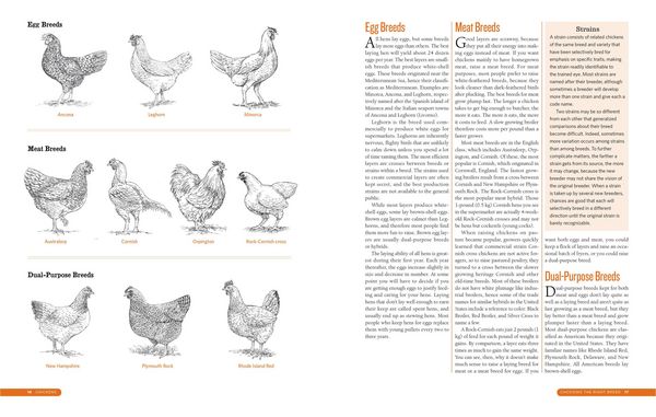 Produktbild: The Backyard Homestead Guide to Raising Farm Animals
