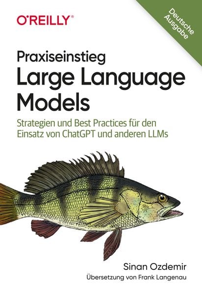 Produktbild: Praxiseinstieg Large Language Models