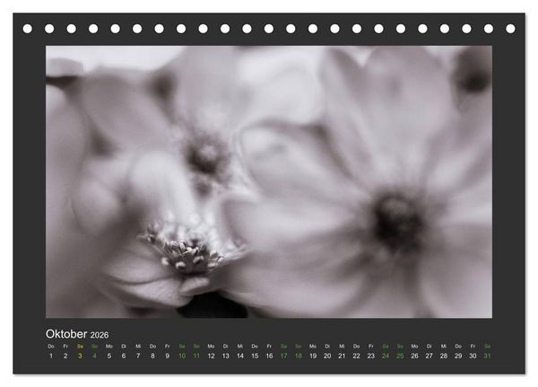 Produktbild: Pflanzen in Schwarz und Wei&szlig; (Tischkalender 2026 DIN A5 quer), CALVENDO Monatskalender