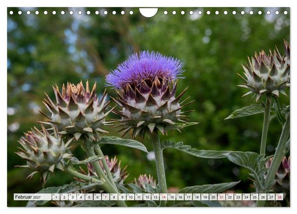 Produktbild: Heimatmomente - L&auml;ndliche Impressionen (Wandkalender 2027 DIN A4 quer), CALVENDO Monatskalender
