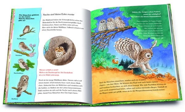 Produktbild: Unser Wald und seine Tiere. Die sch&ouml;nsten Geschichten mit vielen Sachinformationen