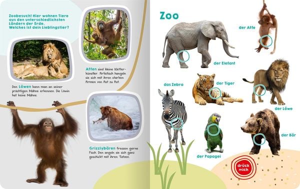 Produktbild: Mein gro&szlig;es Buch der Tierger&auml;usche