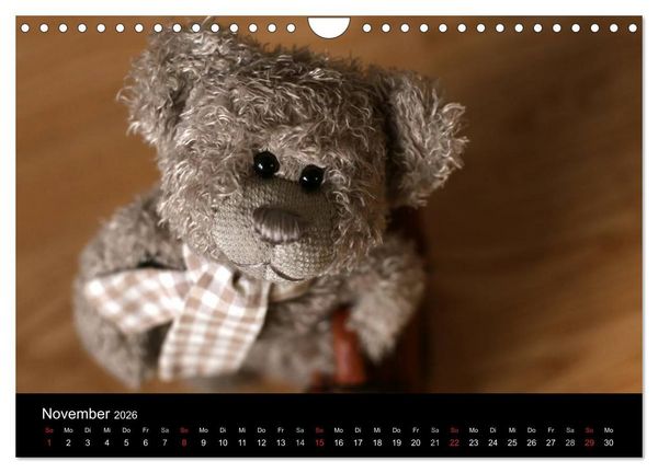 Produktbild: Herr Nopf ist da! (Wandkalender 2026 DIN A4 quer), CALVENDO Monatskalender