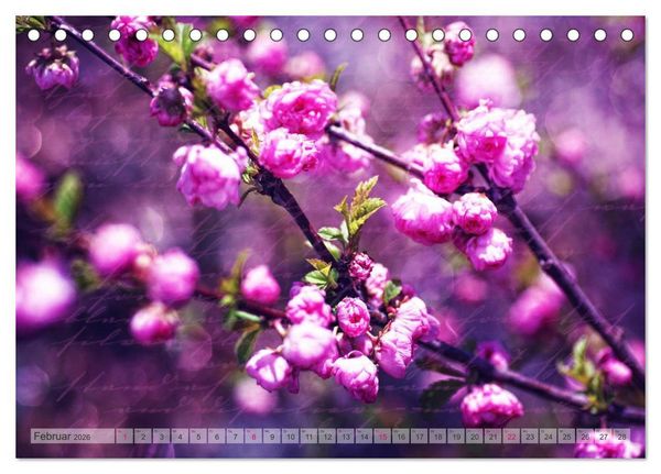 Produktbild: Vintage Nature - Romantische Naturaufnahmen (Tischkalender 2026 DIN A5 quer), CALVENDO Monatskalender