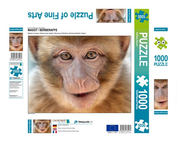 Produktbild: CALVENDO Puzzle MAGOT / BERBERAFFE 1000 Teile Lege-Gr&ouml;&szlig;e 640 x 480 cm Foto-Puzzle Bild von Matthias Besant