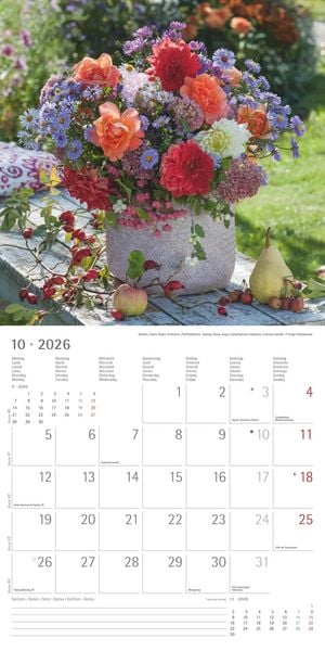Produktbild: Alpha Edition - Blumenträume 2026 Broschürenkalender, 30x30cm, Wandkalender mit Platz für Notizen und Termine, hochwertige Bildmotive, Mondphasen, Mon