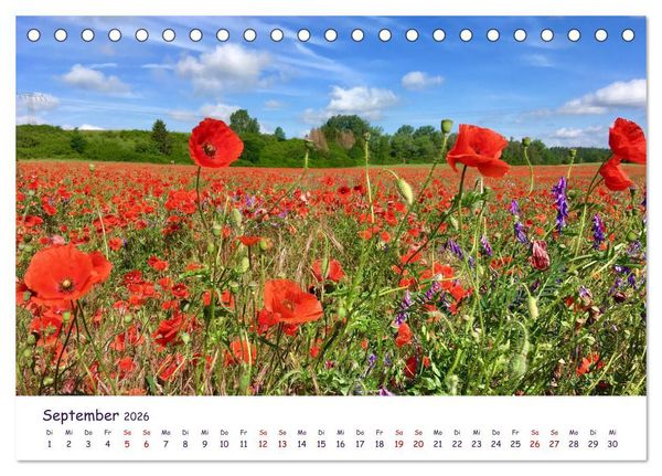 Produktbild: Natur und Landschaft Mecklenburg - Vorpommern 2026 (Tischkalender 2026 DIN A5 quer), CALVENDO Monatskalender