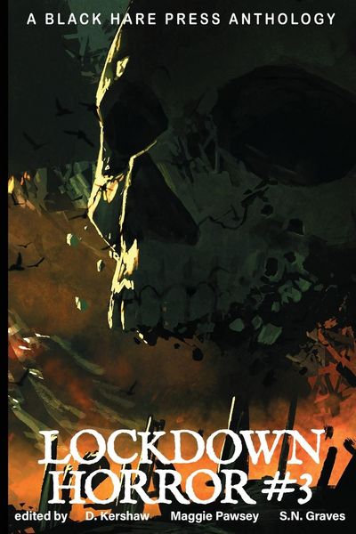 Produktbild: Lockdown Horror #3
