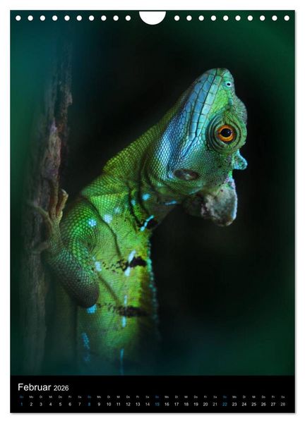 Produktbild: Auge in Auge mit coolen Typen - REPTILIEN (Wandkalender 2026 DIN A4 hoch), CALVENDO Monatskalender