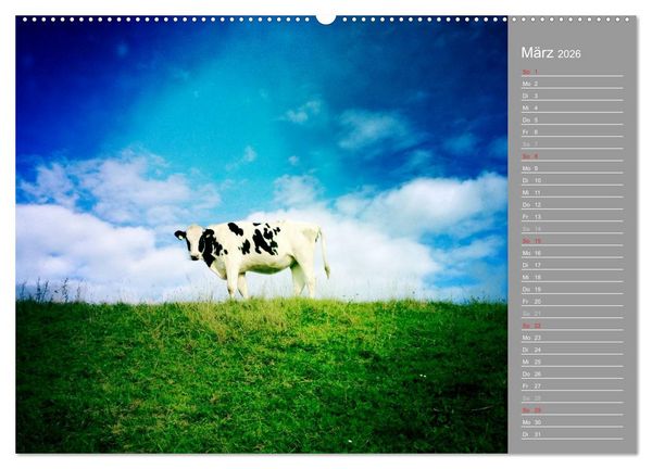 Produktbild: AUF DEM DEICH (Wandkalender 2026 DIN A2 quer), CALVENDO Monatskalender