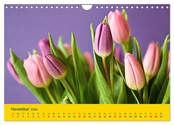 Produktbild: Tulpentraum (Wandkalender 2026 DIN A4 quer), CALVENDO Monatskalender