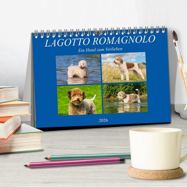 Produktbild: Lagotto Romagnolo - Ein Hund zum Verlieben (Tischkalender 2026 DIN A5 quer), CALVENDO Monatskalender