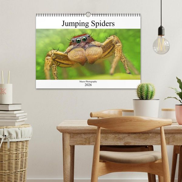 Produktbild: Jumping Spiders (Wall Calendar 2026 DIN A3 landscape), CALVENDO 12 Month Wall Calendar