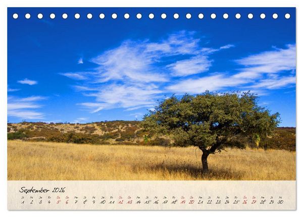 Produktbild: Mexiko - Bunte Vielfalt in Stadt und Land (Tischkalender 2026 DIN A5 quer), CALVENDO Monatskalender