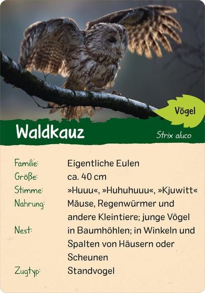 Produktbild: Naturforscher-Kids &ndash; Wald
