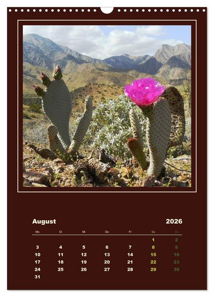 Produktbild: Wilde Kakteen Amerikas (Wandkalender 2026 DIN A3 hoch), CALVENDO Monatskalender