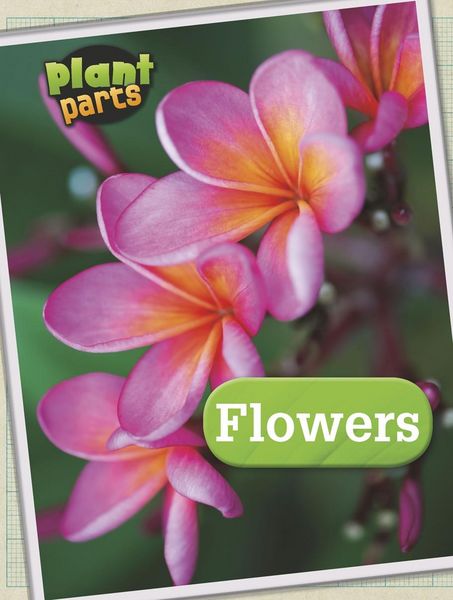 Produktbild: Flowers