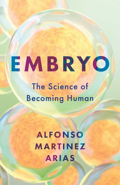 Produktbild: Embryo