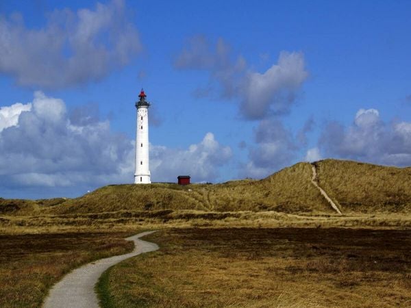 Produktbild: CALVENDO Puzzle Ein Motiv aus dem Kalender D&auml;nemark - Umgebung von Hvide Sande | 1000 Teile Lege-Gr&ouml;&szlig;e 64x48cm Foto-Puzzle f&uuml;r gl&uuml;ckliche Stunden