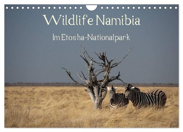 Produktbild: Wildlife Namibia (Wandkalender 2027 DIN A4 quer), CALVENDO Monatskalender