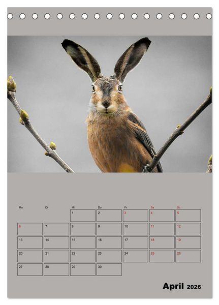Produktbild: Seltsame Tiere - da stimmt doch was nicht... (Tischkalender 2026 DIN A5 hoch), CALVENDO Monatskalender