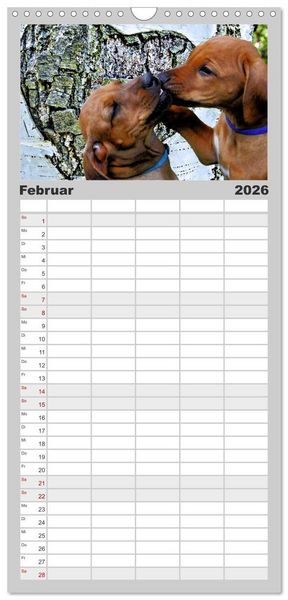 Produktbild: Familienplaner 2026 - Rhodesian Ridgeback - Moments mit 5 Spalten (Wandkalender, 21 x 45 cm) CALVENDO