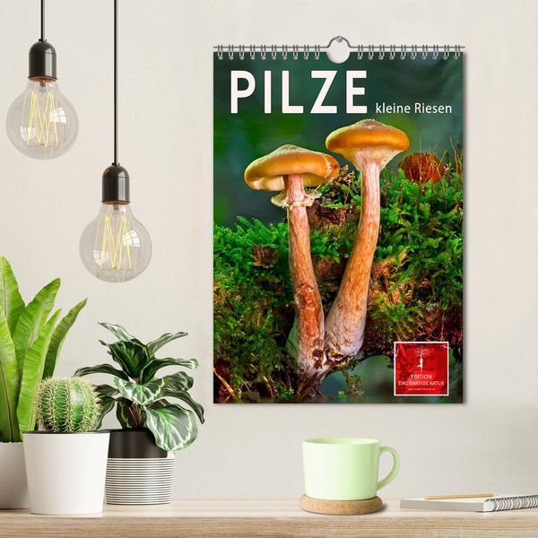 Produktbild: Pilze - kleine Riesen (Wandkalender 2026 DIN A4 hoch), CALVENDO Monatskalender