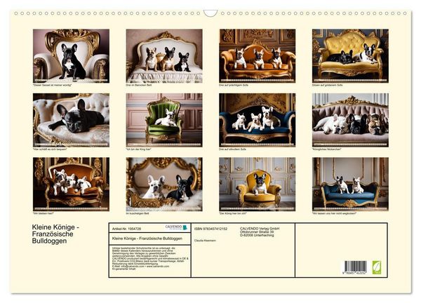 Produktbild: Kleine K&ouml;nige - Franz&ouml;sische Bulldoggen (Wandkalender 2026 DIN A2 quer), CALVENDO Monatskalender