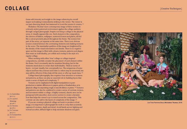 Produktbild: The Maximalist Photographer