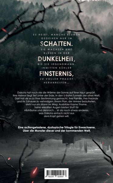 Produktbild: Rogue Project