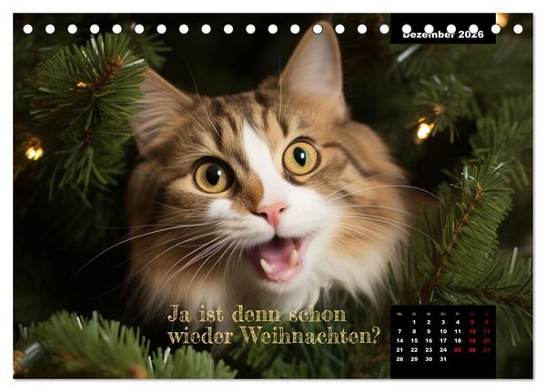 Produktbild: Katzen k&ouml;nnen alles, au&szlig;er traurig. (Tischkalender 2026 DIN A5 quer), CALVENDO Monatskalender