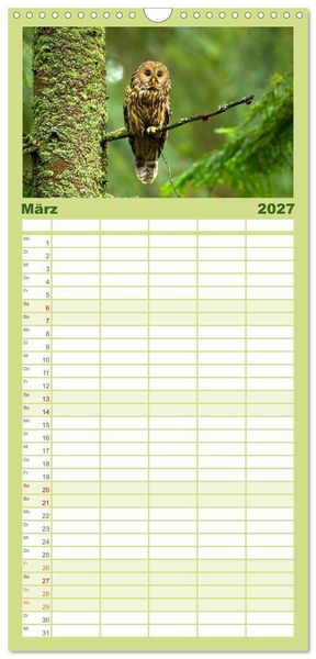 Produktbild: Familienplaner 2027 - Die Tiere des Waldes mit 5 Spalten (Wandkalender, 21 x 45 cm) CALVENDO
