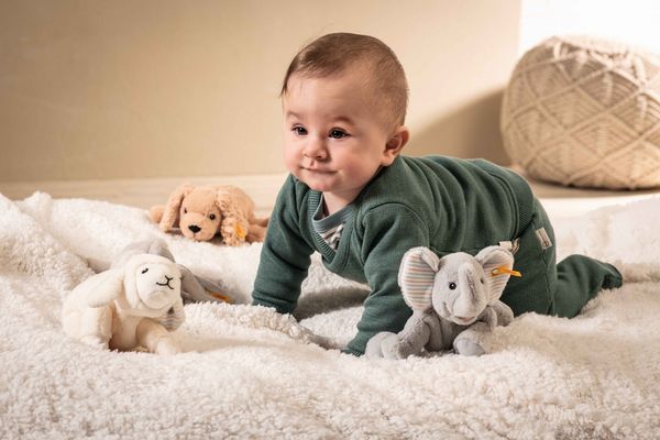 Produktbild: Steiff 242656 - Soft Cuddly Friends Floppy Trampili Elefant, hellgrau, 20 cm