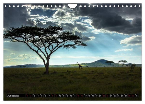 Produktbild: Tansania - Tierwanderung in der Serengeti (Wandkalender 2026 DIN A4 quer), CALVENDO Monatskalender
