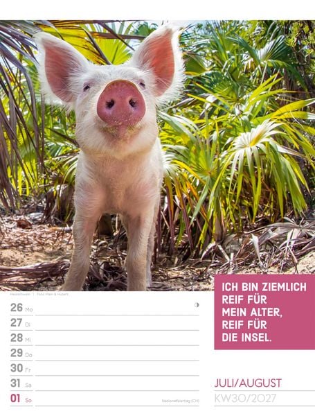 Produktbild: Tierisch Spr&uuml;chekalender Wochenplaner 2027