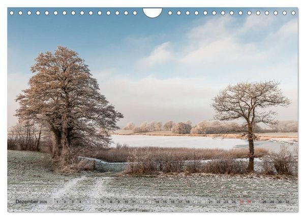 Produktbild: Meine Schlei 2026 (Wandkalender 2026 DIN A4 quer), CALVENDO Monatskalender