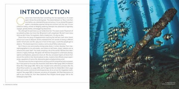 Produktbild: Big Blue