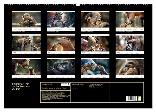 Produktbild: Tierm&uuml;tter - die sanfte Seite der Wildnis (Wandkalender 2026 DIN A2 quer), CALVENDO Monatskalender